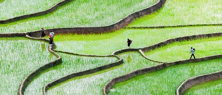 �ط�888(Ψһ)�ٷ���վ